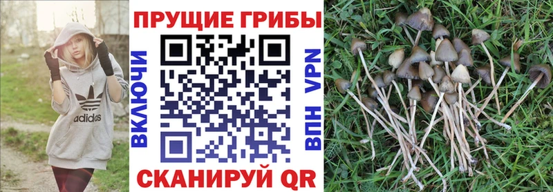 Псилоцибиновые грибы MAGIC MUSHROOMS цены наркотик MEGA маркетплейс Мамадыш